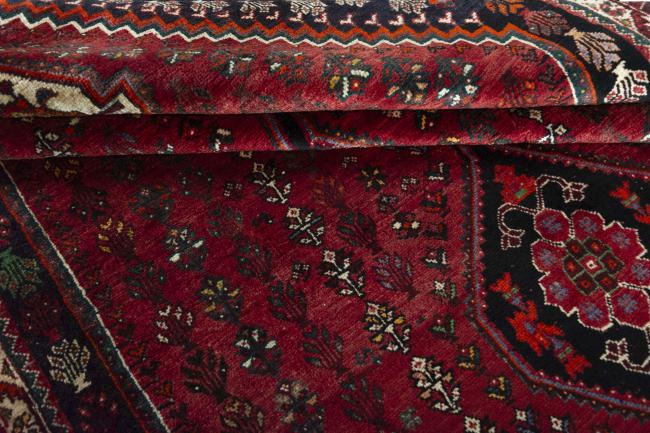 Shiraz - 7