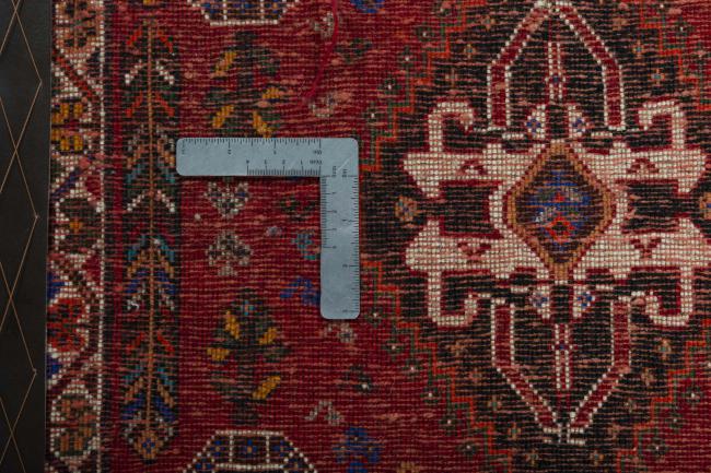 Shiraz - 4