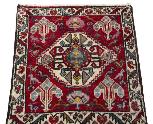 Shiraz - 3