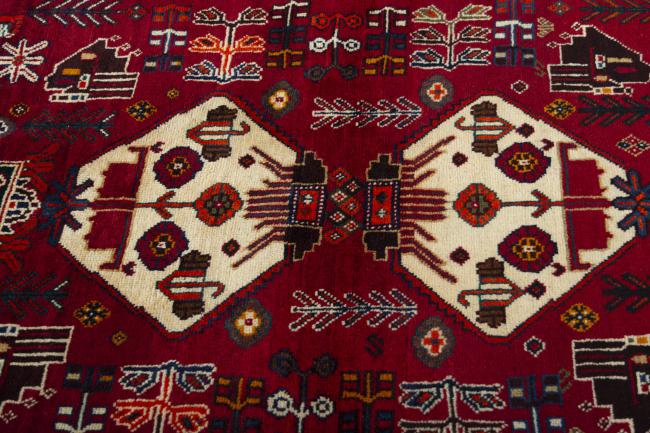 Shiraz - 5