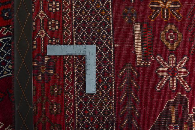 Shiraz - 10