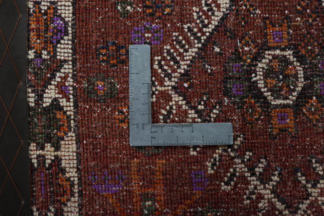 Shiraz - 4