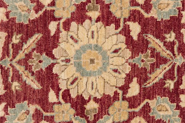 Ziegler Farahan - 6