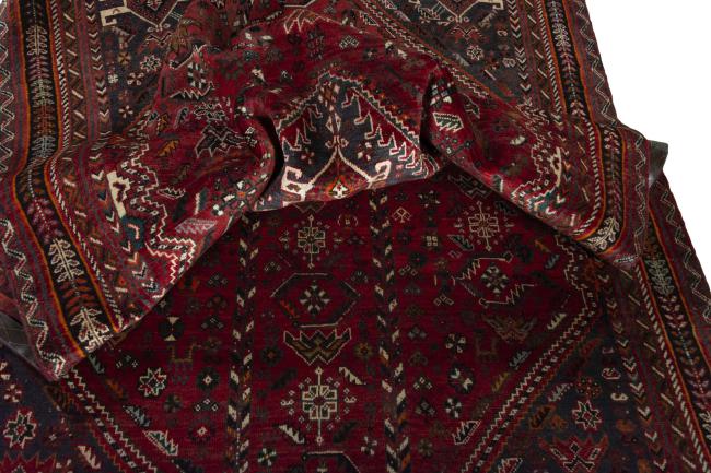 Shiraz - 1