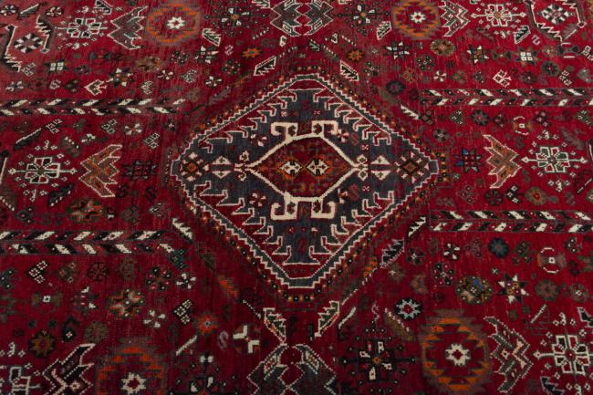 Shiraz - 7