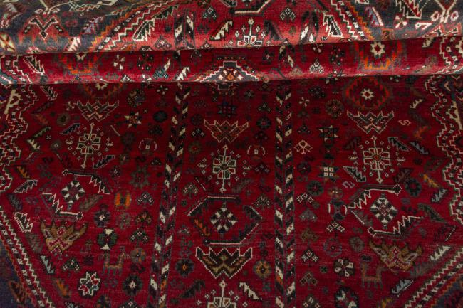 Shiraz - 10