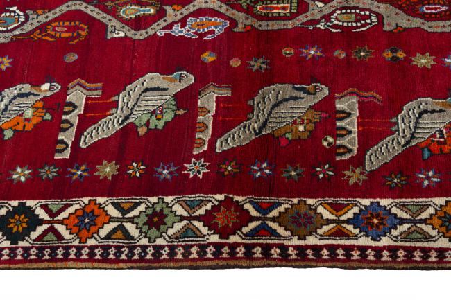 Shiraz - 6