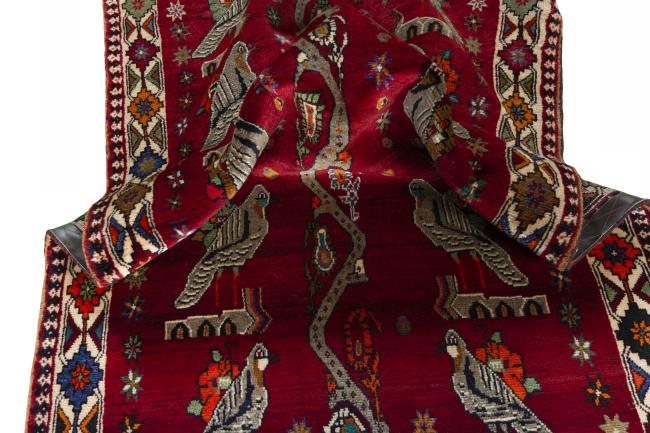 Shiraz - 8