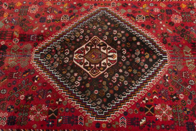 Shiraz - 5