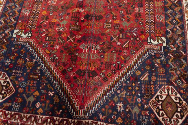 Shiraz - 6