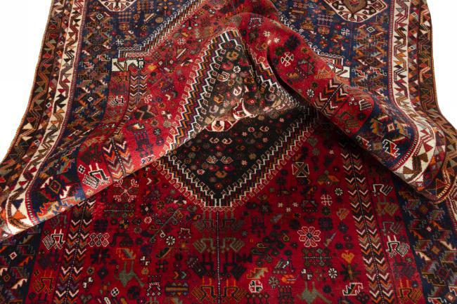 Shiraz - 10