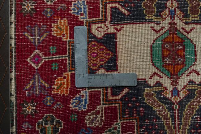 Shiraz - 4