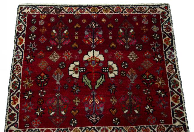 Shiraz - 3