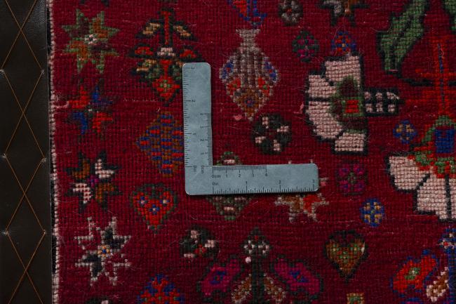 Shiraz - 4