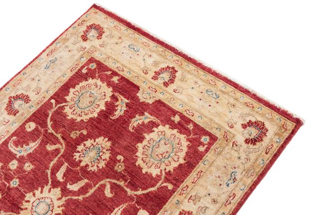 Ziegler Farahan - 3