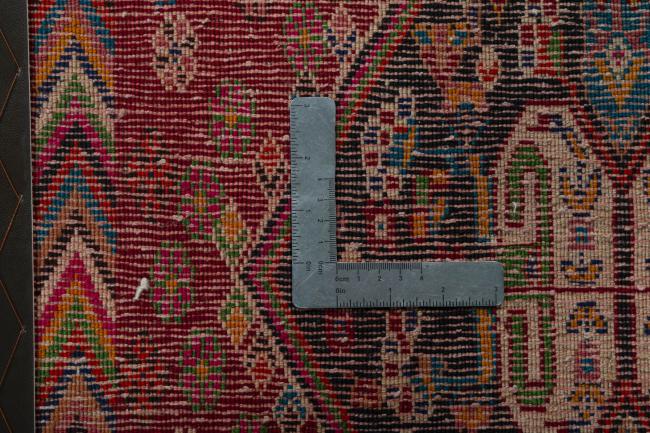 Shiraz - 4