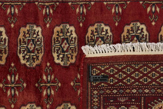 Pakistan Buchara 3ply - 1