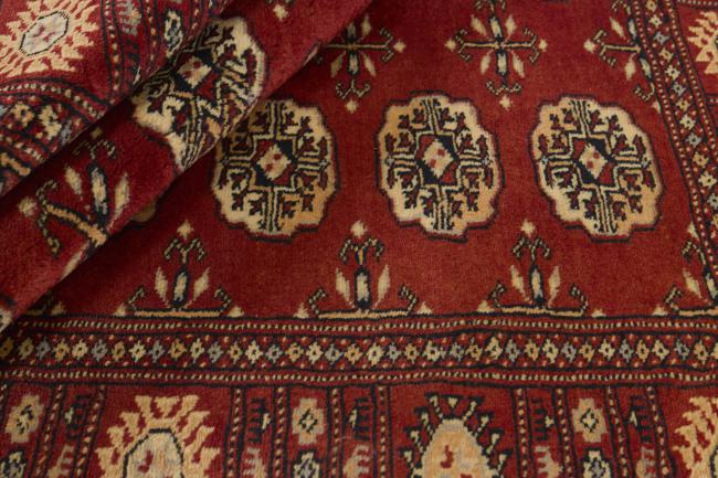 Pakistan Buchara 3ply - 2