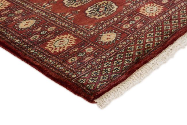 Pakistan Buchara 3ply - 3