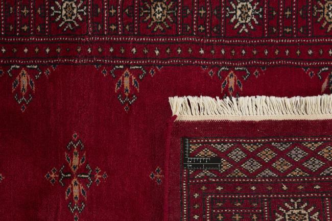 Pakistan Buchara 3ply - 1