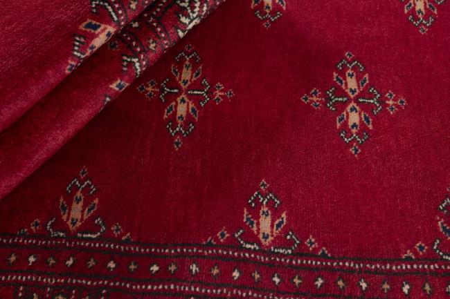 Pakistan Buchara 3ply - 2