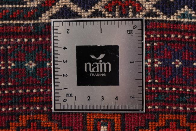 Turcomano Velho - 10