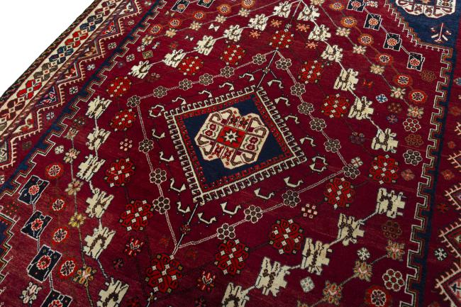 Shiraz - 4