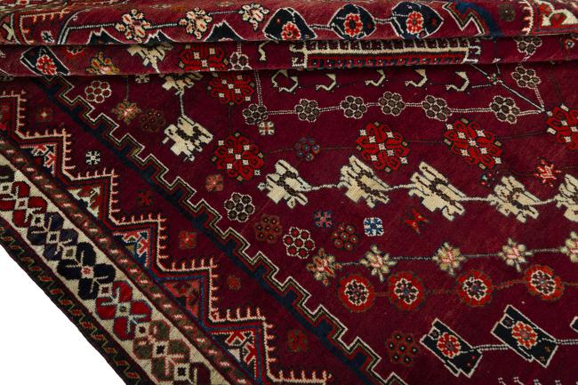 Shiraz - 8