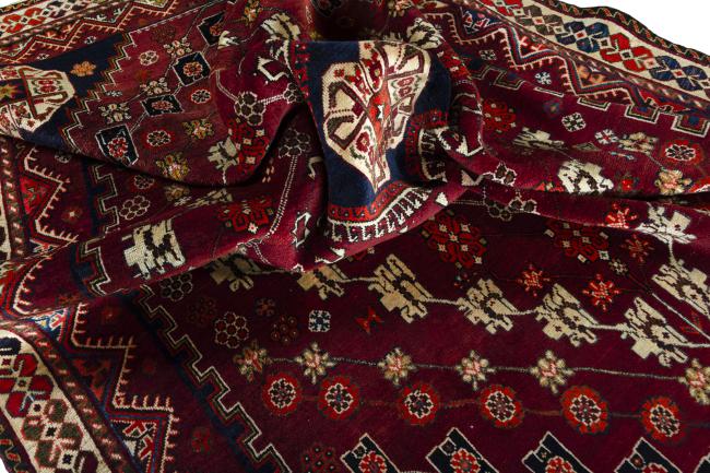 Shiraz - 9