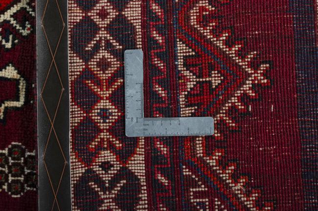 Shiraz - 10