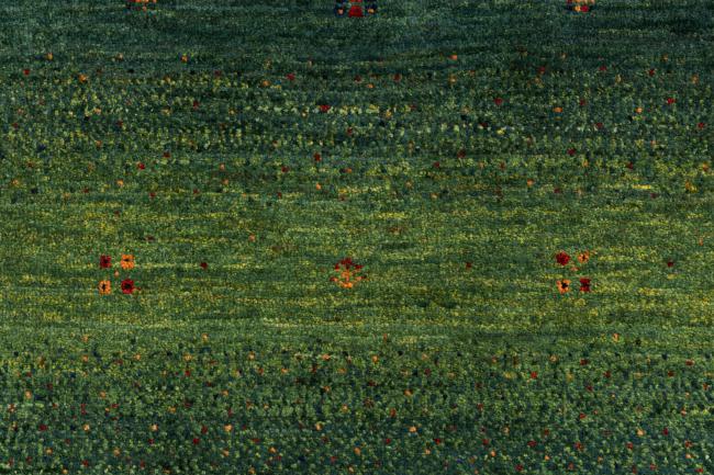 Persja Gabbeh Loribaft Atash - 6