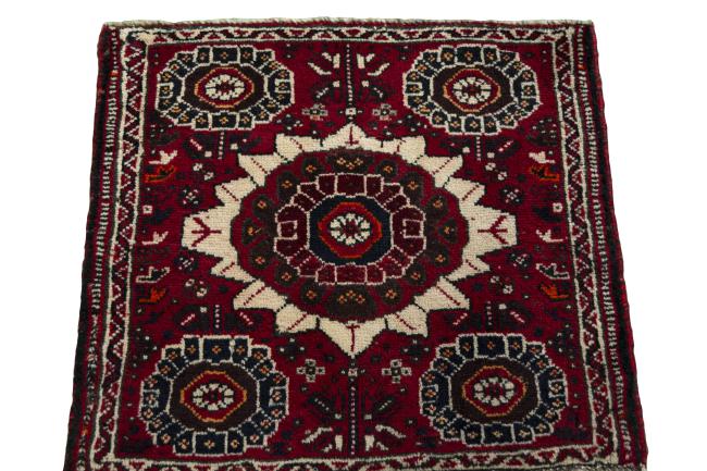 Shiraz - 3