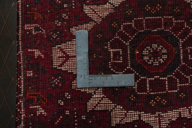 Shiraz - 4
