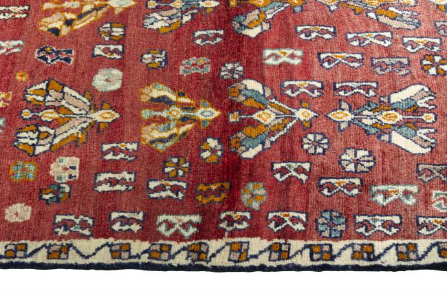 Shiraz - 6