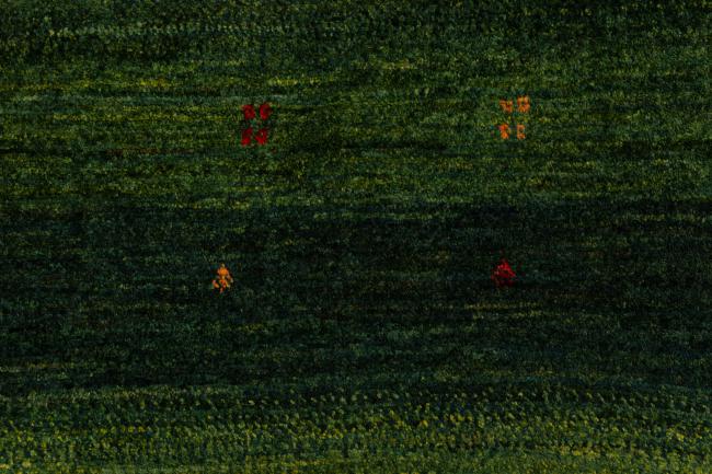 Persia Gabbeh Loribaft Atash - 6