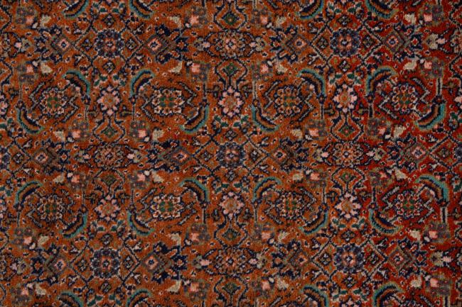 Bidjar - 6