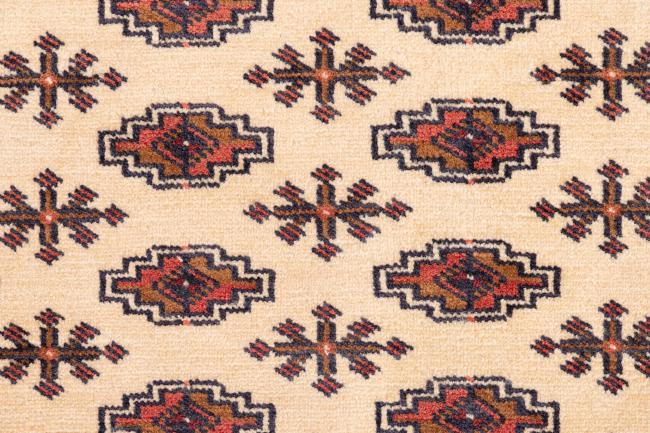 Turkaman - 5