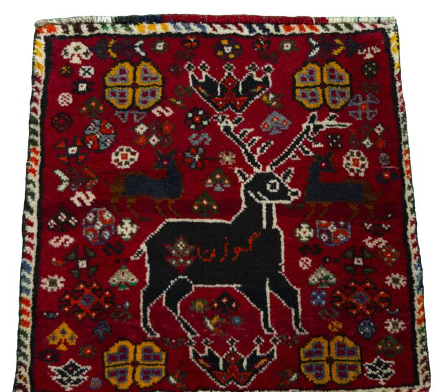 Shiraz - 3