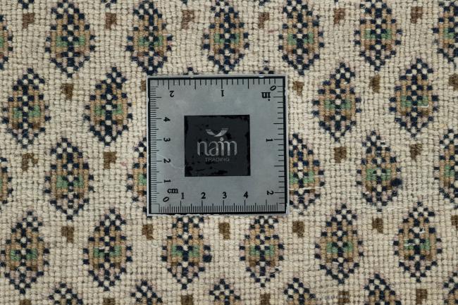 Indo Mir - 12