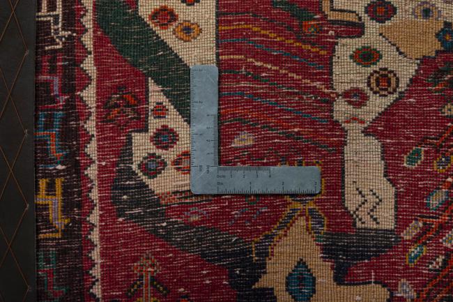 Shiraz - 4