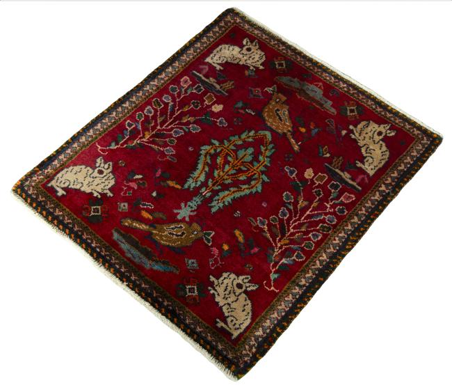 Shiraz - 1
