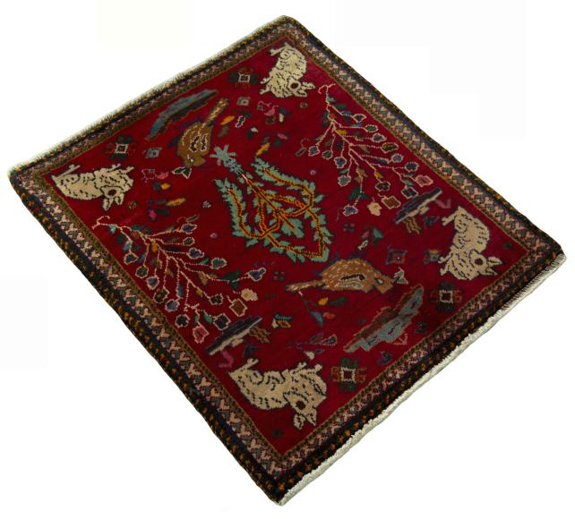 Shiraz - 2