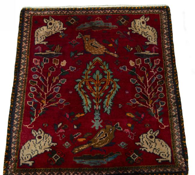 Shiraz - 3