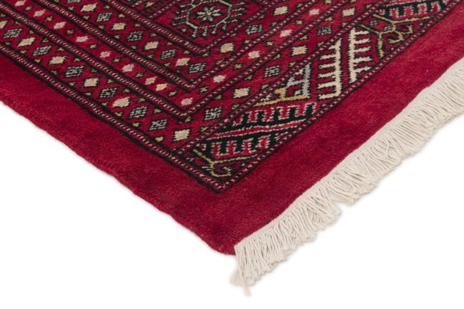 Pakistan Buchara 2ply - 3