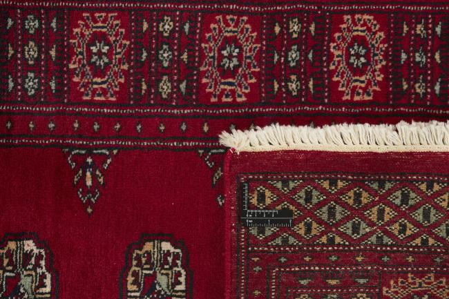 Pakistan Buchara 3ply - 1