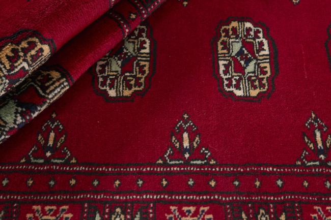 Pakistan Buchara 3ply - 2
