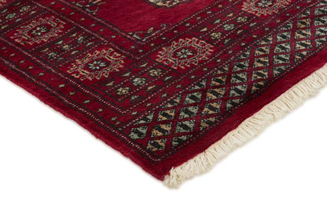 Pakistan Buchara 3ply - 3