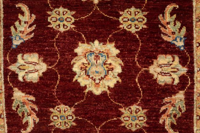 Ziegler Farahan - 5