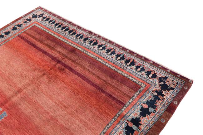 Περσία Γκάμπεθ Loribaft Z - 3