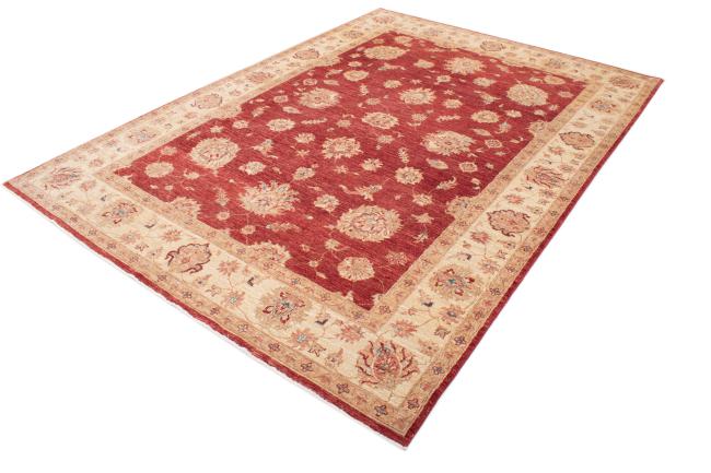 Ziegler Farahan - 2